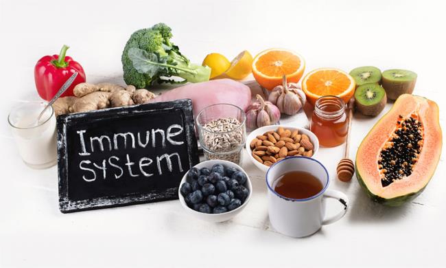 32-facts-about-supports-immune-system